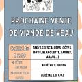 Fair testing science poster colorful cow pattern